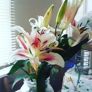 Meet your Posher, Dipali